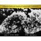 Azoo Calcium & Magnesium Ion Active Filter [drobny] [0,5l]
