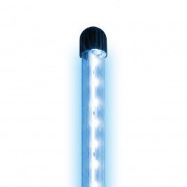 Moduł oświetleniowy NovoLux LED 40 Blue niebieski Juwel