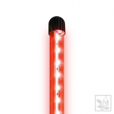 Moduł oświetleniowy NovoLux LED 40 Red Juwel