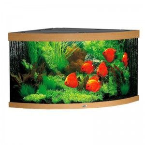 Akwarium narożne z wyposażeniem Trigon 350 kolor ciemne drewno Juwel