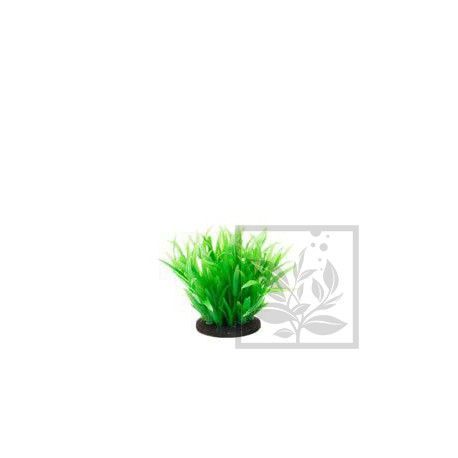 Roślina Premium Mini RP 207 ATG Line