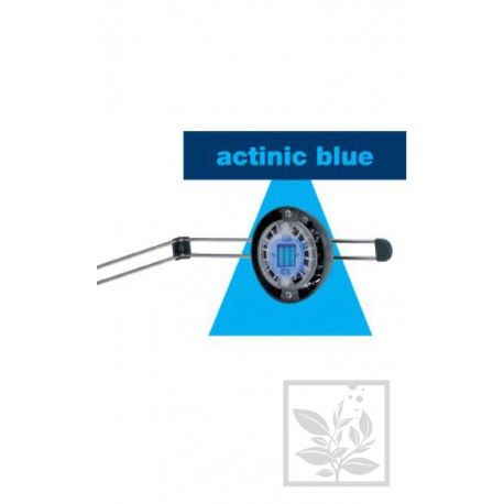Lampka Power LED z uchwytem actinic blue dla akwariów morskich Eheim