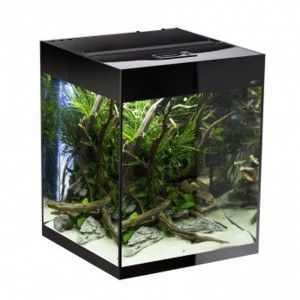 Glossy Cube zestaw akwariowy Aquael