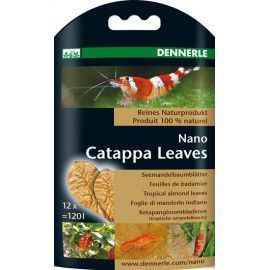 Nano Catappa Leaves (5916) Dennerle