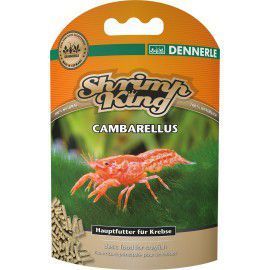 Shrimp King CPO (6078) Dennerle