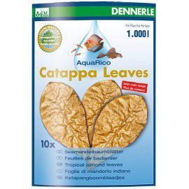 Catappa Leaves Tropical almond leaves (2744) Dennerle