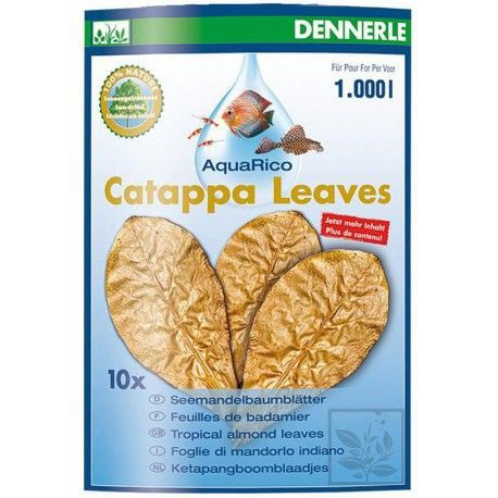 Catappa Leaves Tropical almond leaves Dennerle