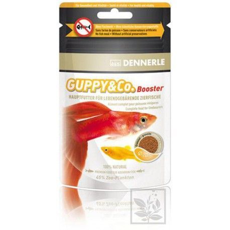 Guppy & Co. Booster 40g Dennerle