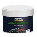 Algae Noodles 25g Royal Shrimps Food