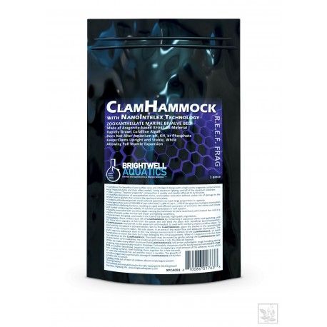ClamHammock Brightwell Aquatics
