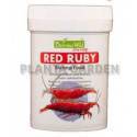 BORNEOWILD SHRIMP RED RUBY 40g