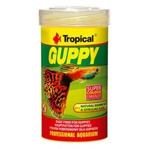 Guppy 100ml Tropical