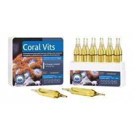 Coral Vits 12 ampułek Prodibio