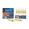 Coral Vits 6 ampułek Prodibio
