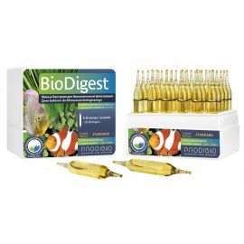 BioDigest 30 ampułek PRODIBIO