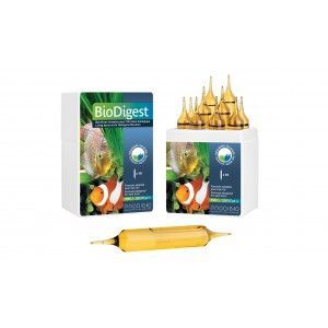 BioDigest 6 ampułek PRODIBIO