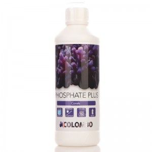Nitrate Plus 1000ml Colombo 