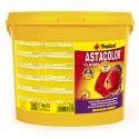 Astacolor 5l (1kg) Tropical