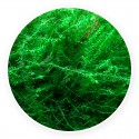 Mech Flat moss [pojemnik 5 cm]