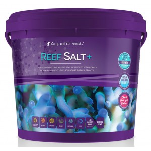 Reef Salt+ 22 kg wiadro Aquaforest 
