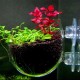 Szklana doniczka dla roślin Chihiros
