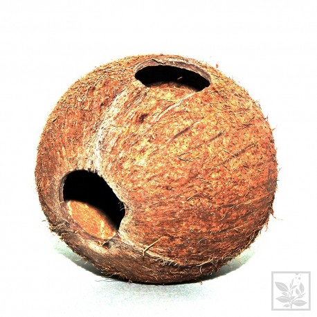 Cocos (kokos) grota 1/1 L Jbl