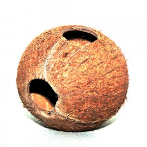 Cocos (kokos) grota 1/1 L Jbl