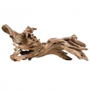 Jagged Wood (S) Korzeń 10-16 cm Progrow