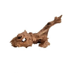 Jagged Wood Korzeń 10-16 cm Progrow