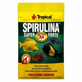 Super Spirulina Forte 12 g Tropical