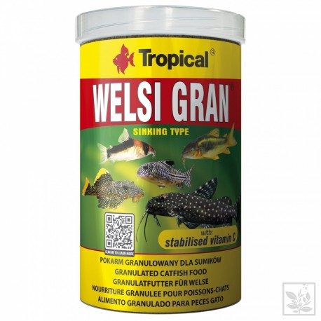 Welsi Gran 250 ml Tropical